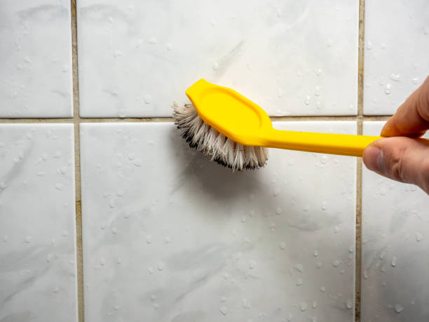 Best Toxic Mold Removal  in Red Cloud, NE