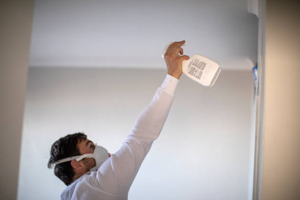 Best Home Mold Removal  in Red Cloud, NE