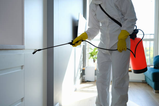 Best Mold Damage Repair  in Red Cloud, NE