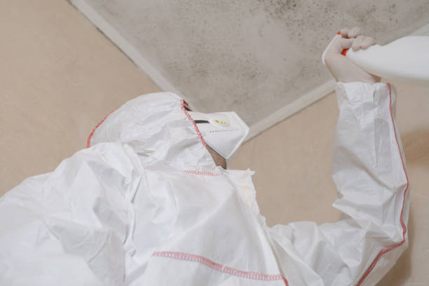 Best Best Mold Removal Companies  in Red Cloud, NE