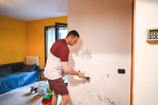 Best Mold Removal and Inspection  in Red Cloud, NE